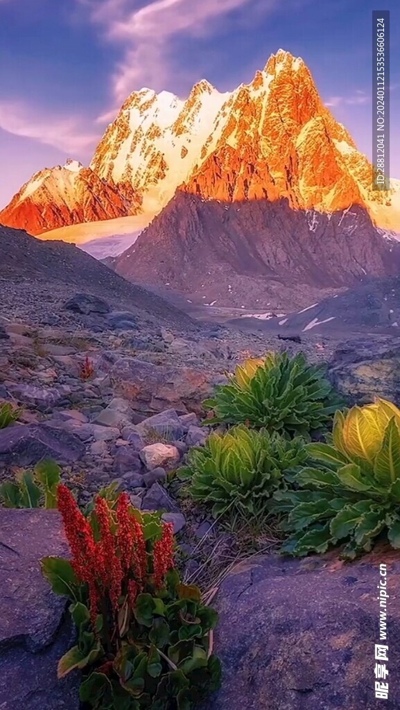 高清唯美风景拍摄竖屏素材