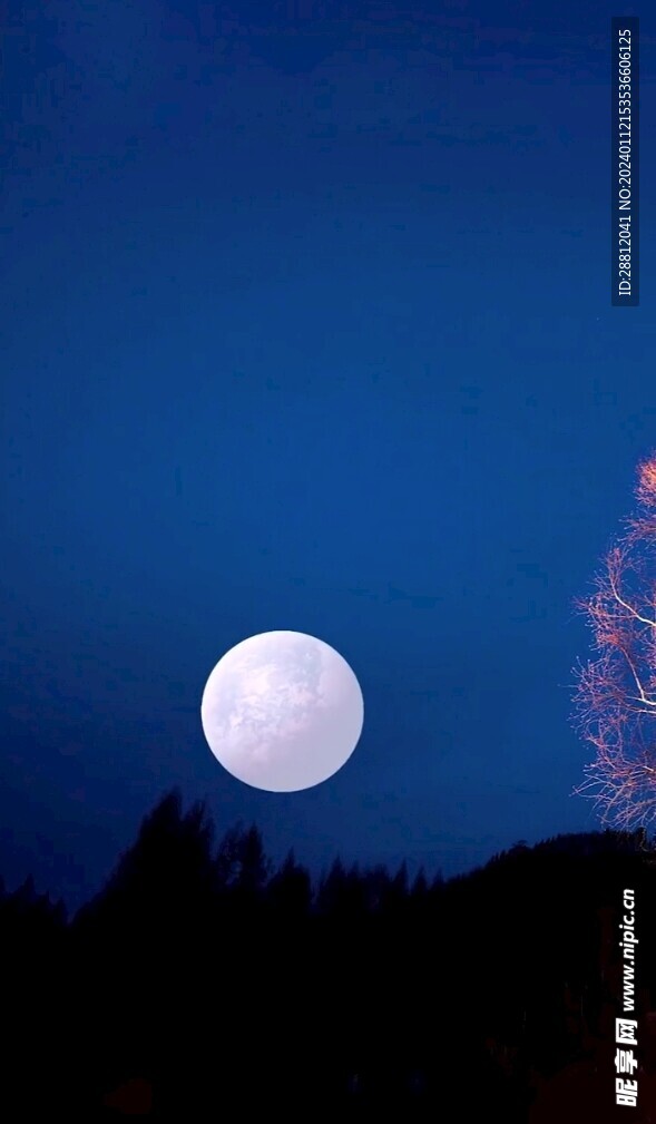 高清唯美风景拍摄竖屏素材