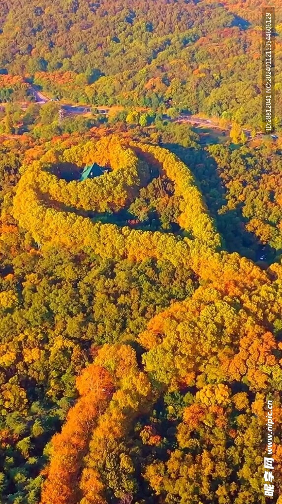 高清唯美风景拍摄竖屏素材
