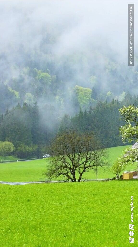 高清唯美风景拍摄竖屏素材
