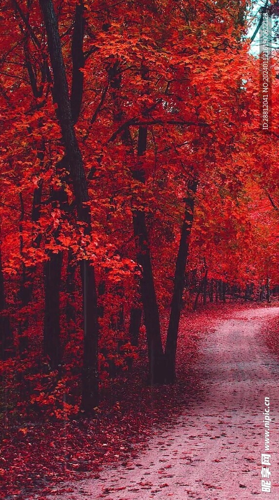 高清唯美风景拍摄竖屏素材