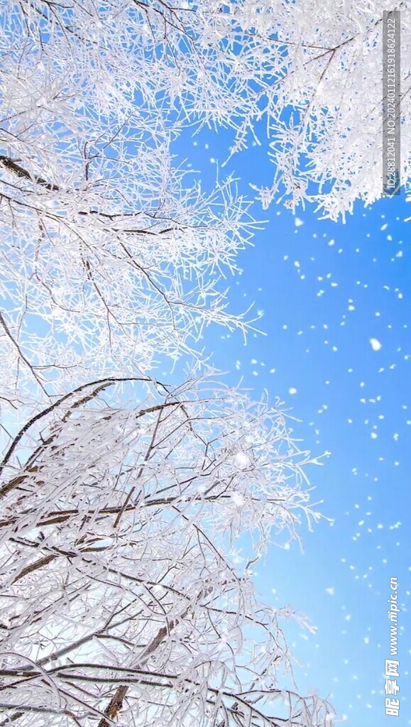 高清唯美风景拍摄竖屏素材