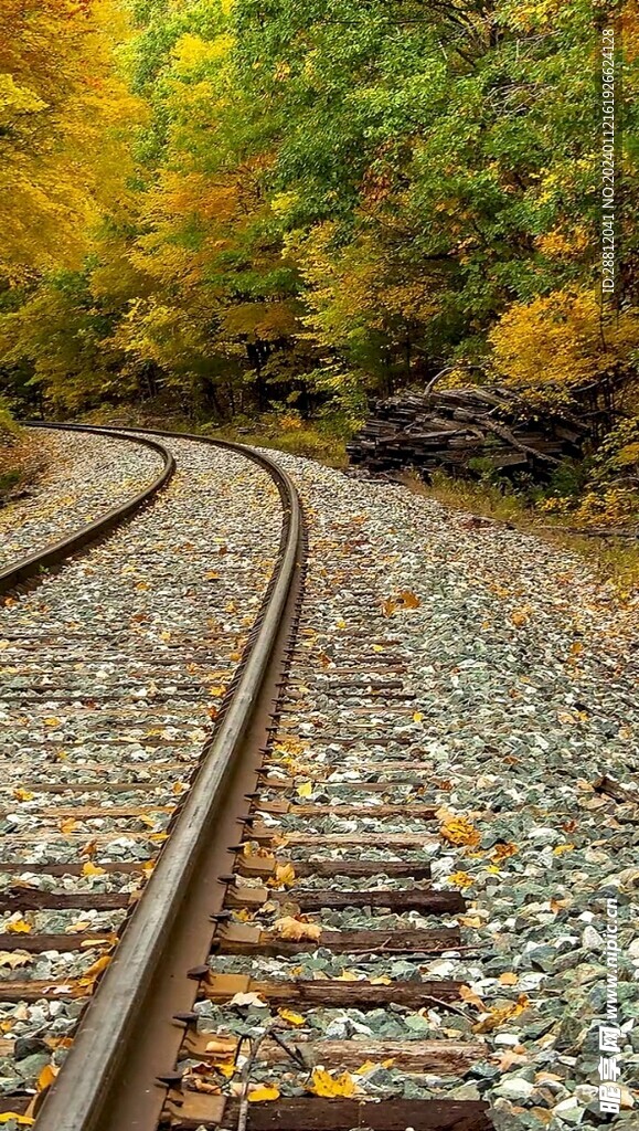 高清唯美风景拍摄竖屏素材