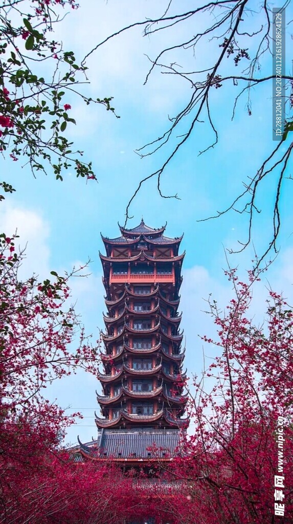 高清唯美风景拍摄竖屏素材