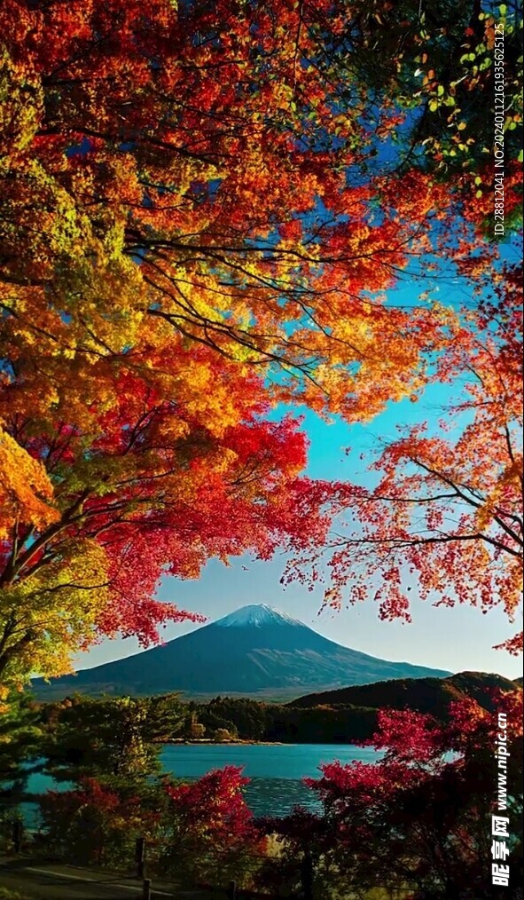 高清唯美风景拍摄竖屏素材