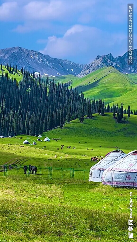 高清唯美风景拍摄竖屏素材