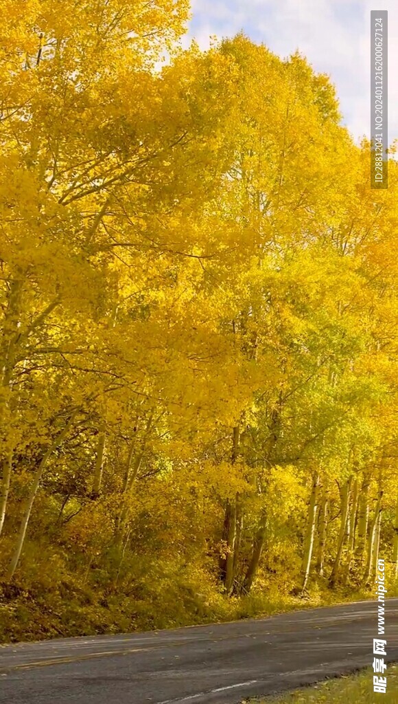 高清唯美风景拍摄竖屏素材