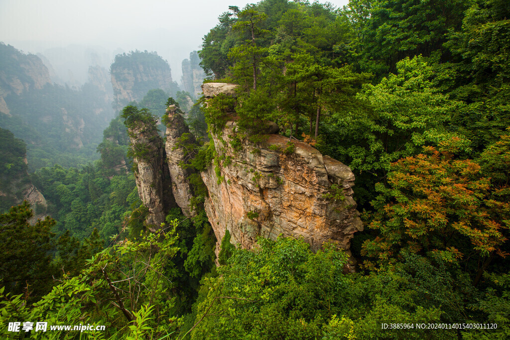 美丽湖泊山峰森林风景图片