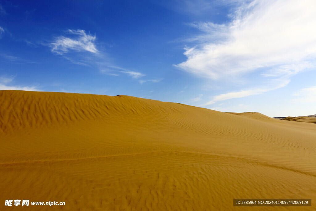 沙漠图片