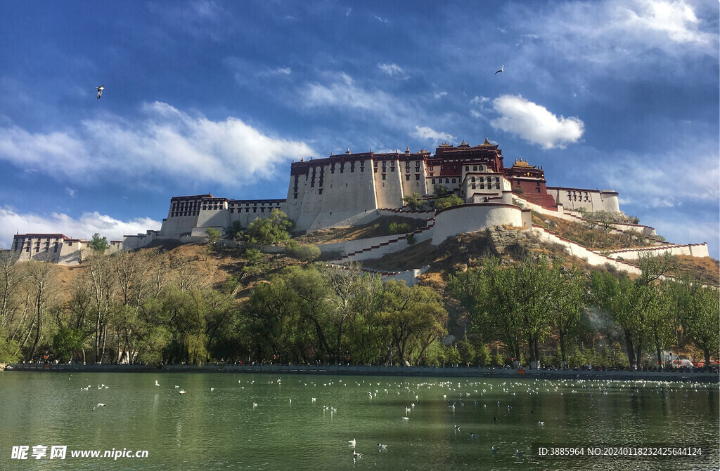 布达拉宫广场图片