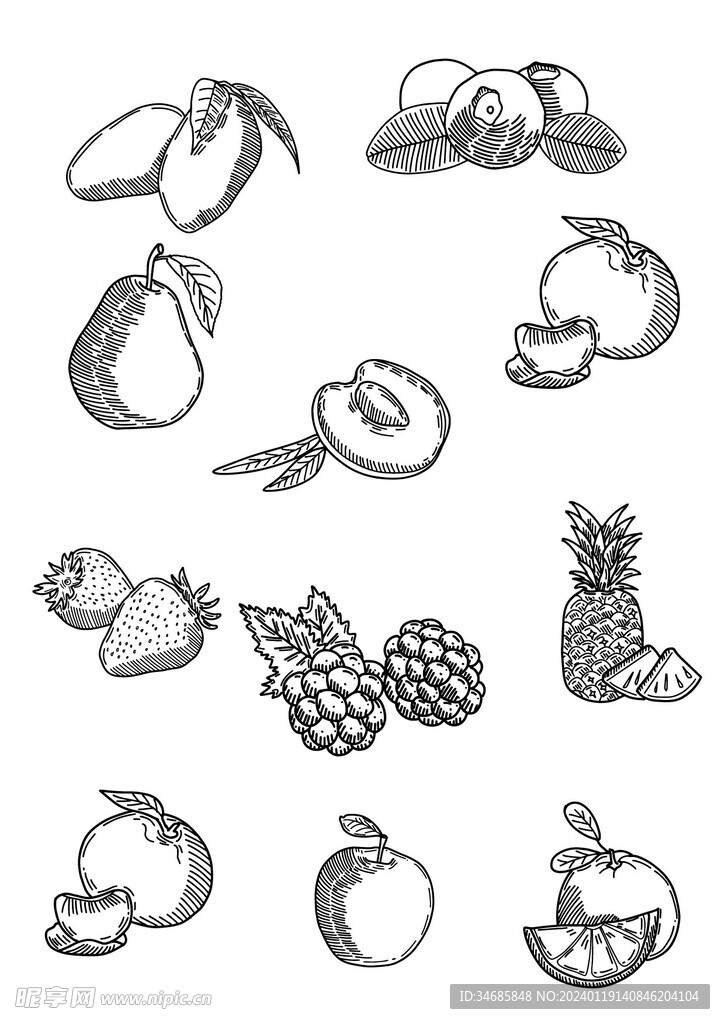 水果手绘