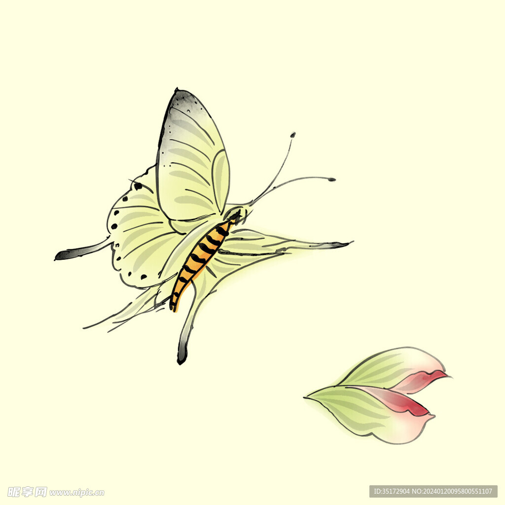 手绘蝴蝶
