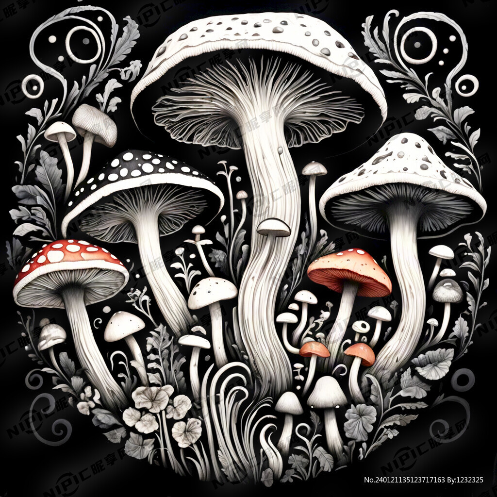 蘑菇 黑白画 线条交织 图案