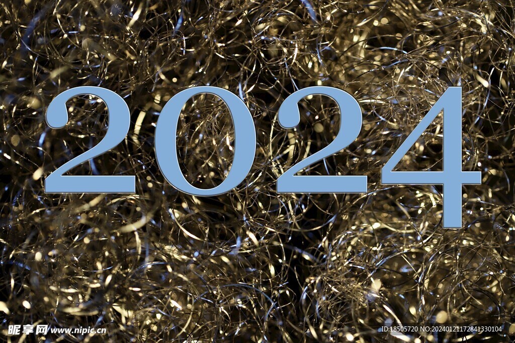 2024年
