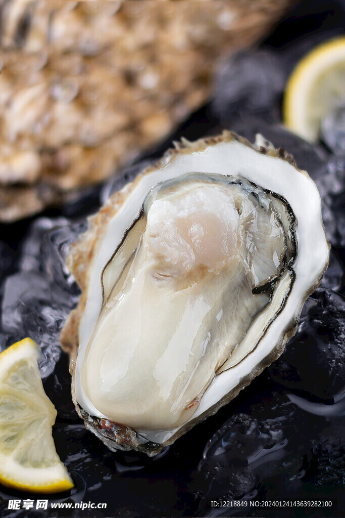 生蚝