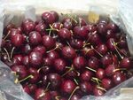 车厘子樱桃