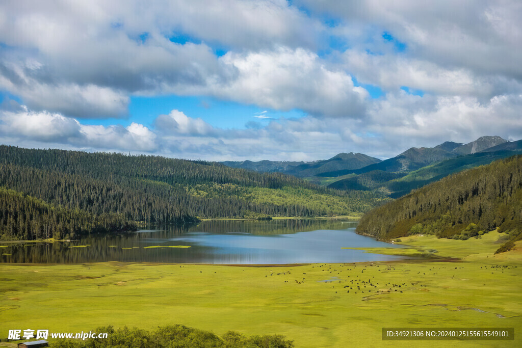 普达措景区一景