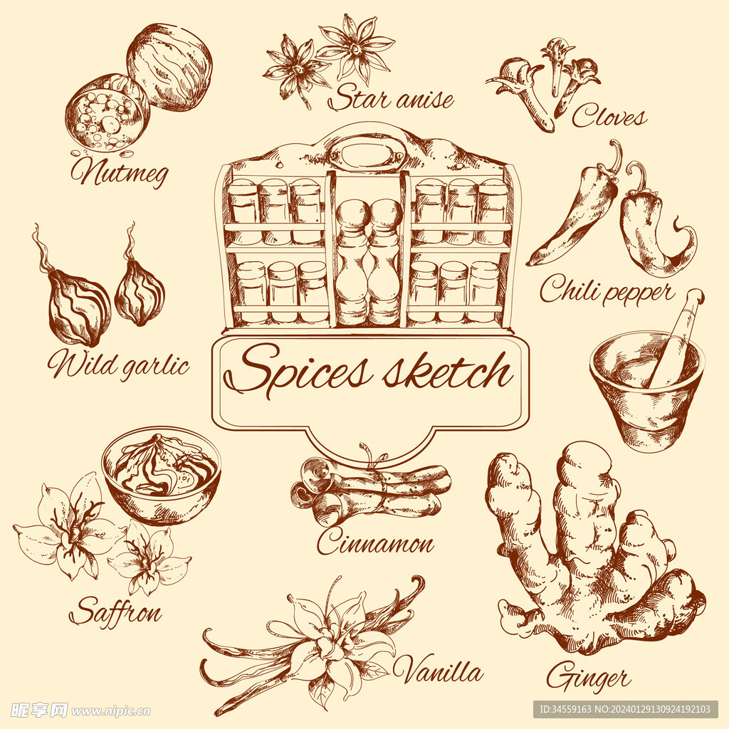 10款香料手绘图