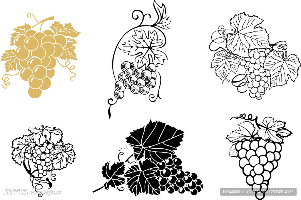 矢量葡萄