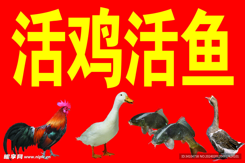 活鸡活鱼门头