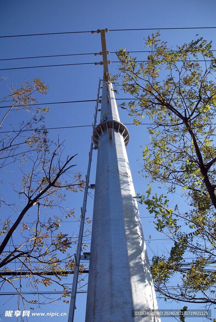 电线杆