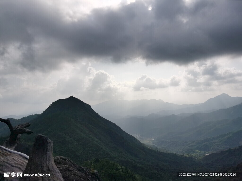 山地 森林 登高