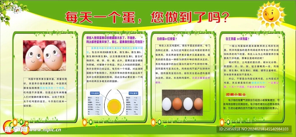 每天一个蛋 