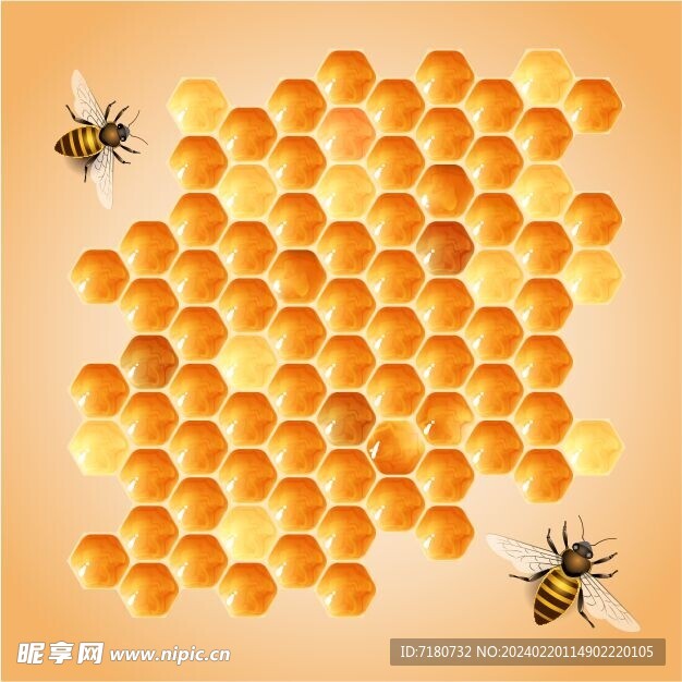 卡通蜂巢