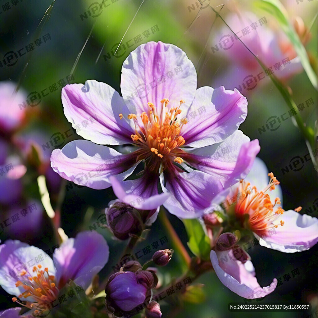 春天 万物生长 花朵盛开