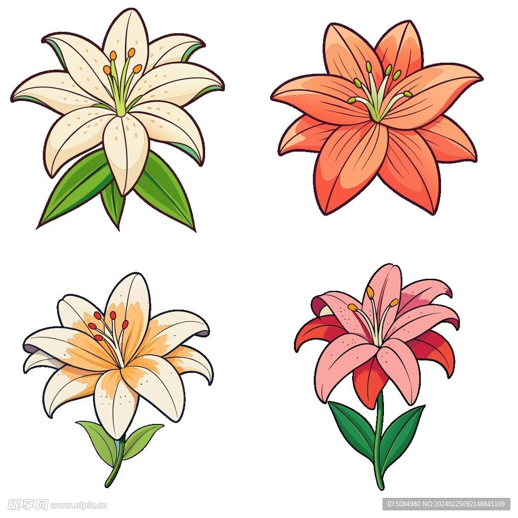 卡通风格百合组图