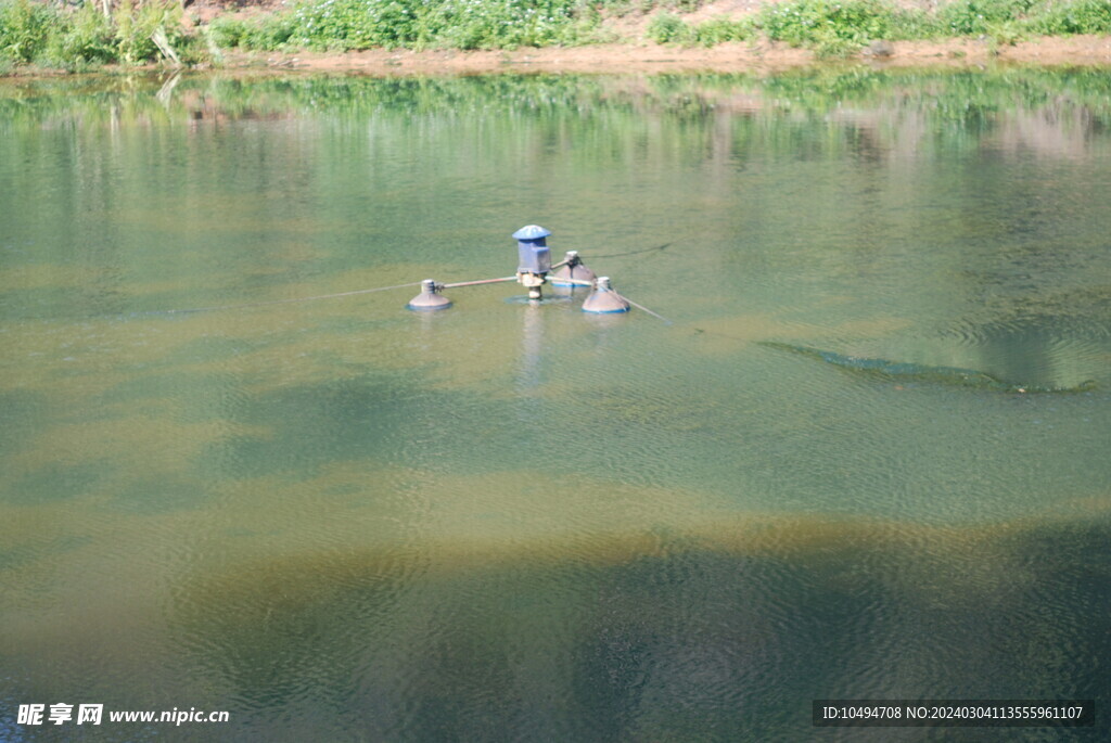 清澈水塘
