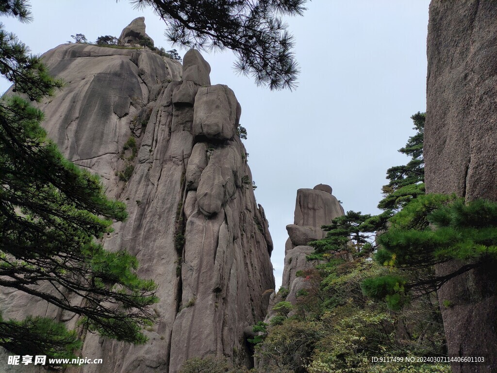 黄山奇石龟兔赛跑
