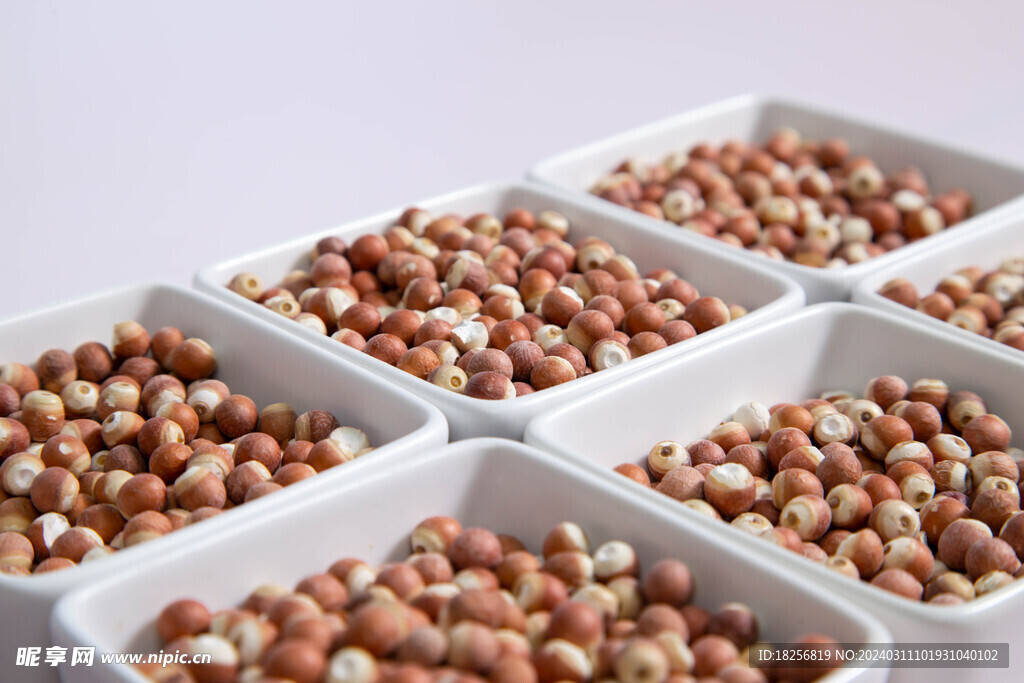 鸡头米金湖特产