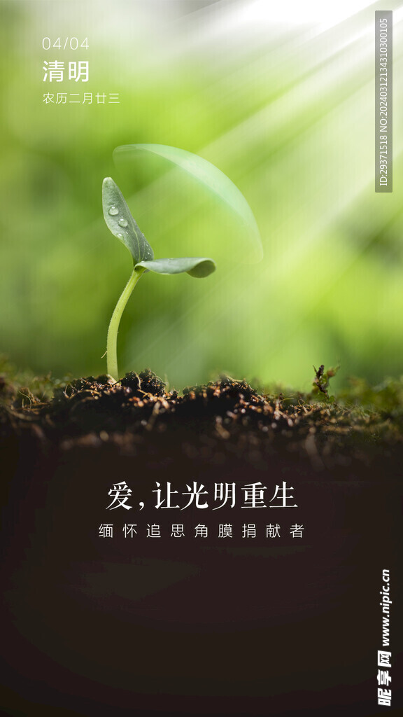 清明节