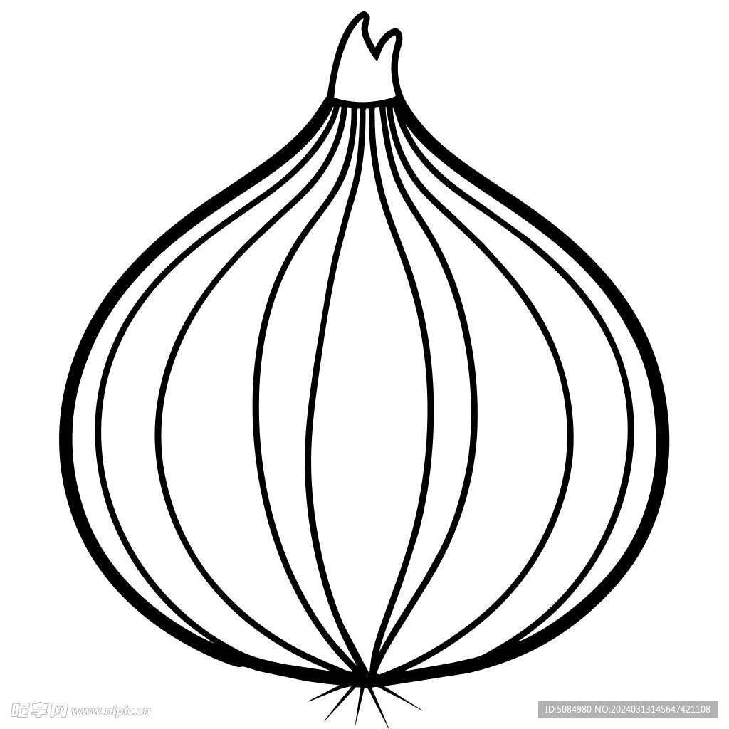  洋葱  线稿