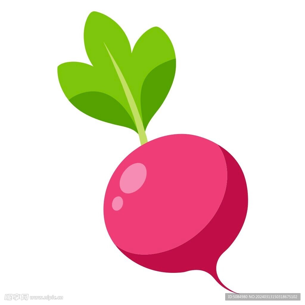 简易的卡通风格的萝卜