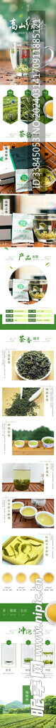 绿茶详情