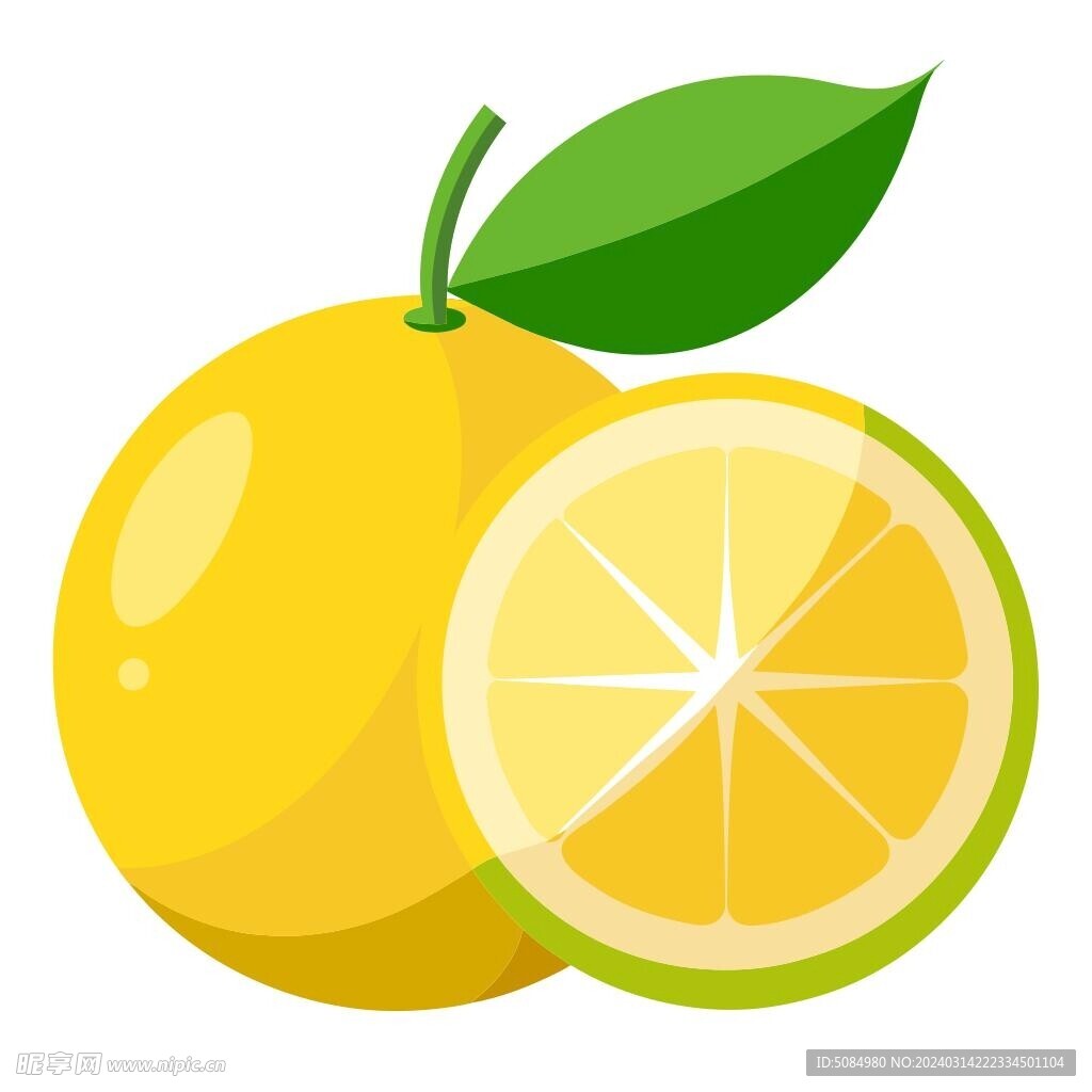 柚子剖面素材