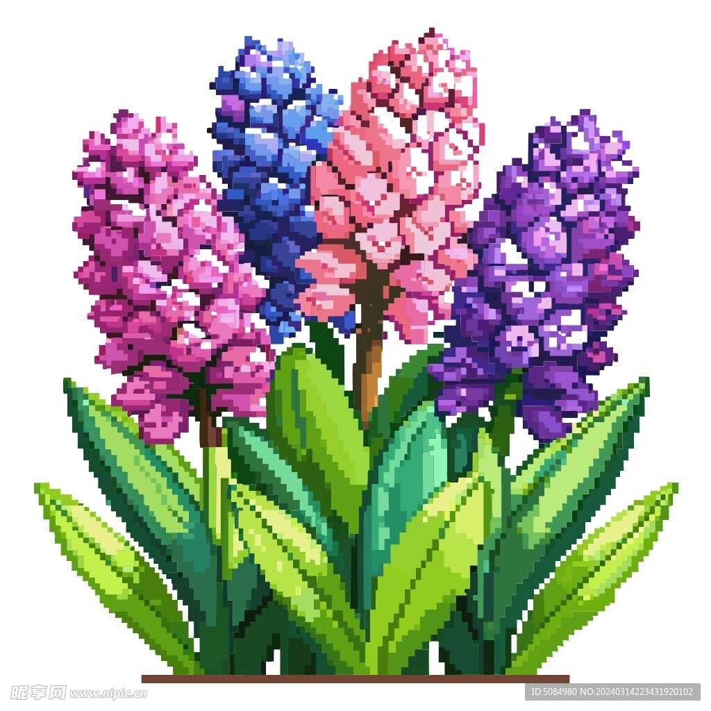 像素风格风信子