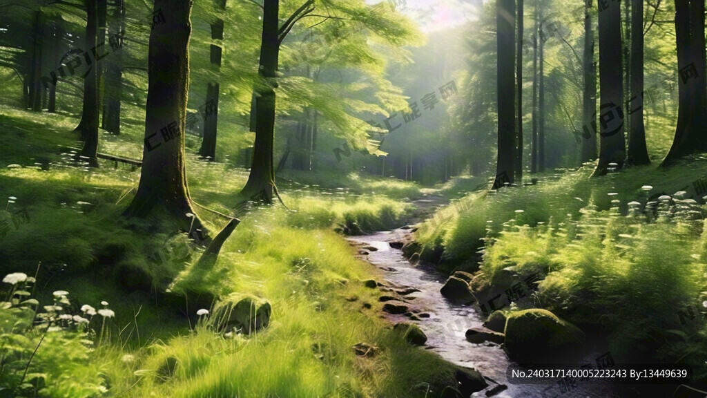 绿色 森林 草地