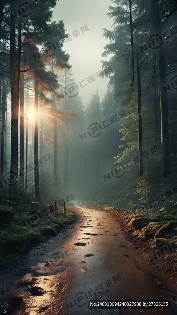 森林小路 浓雾