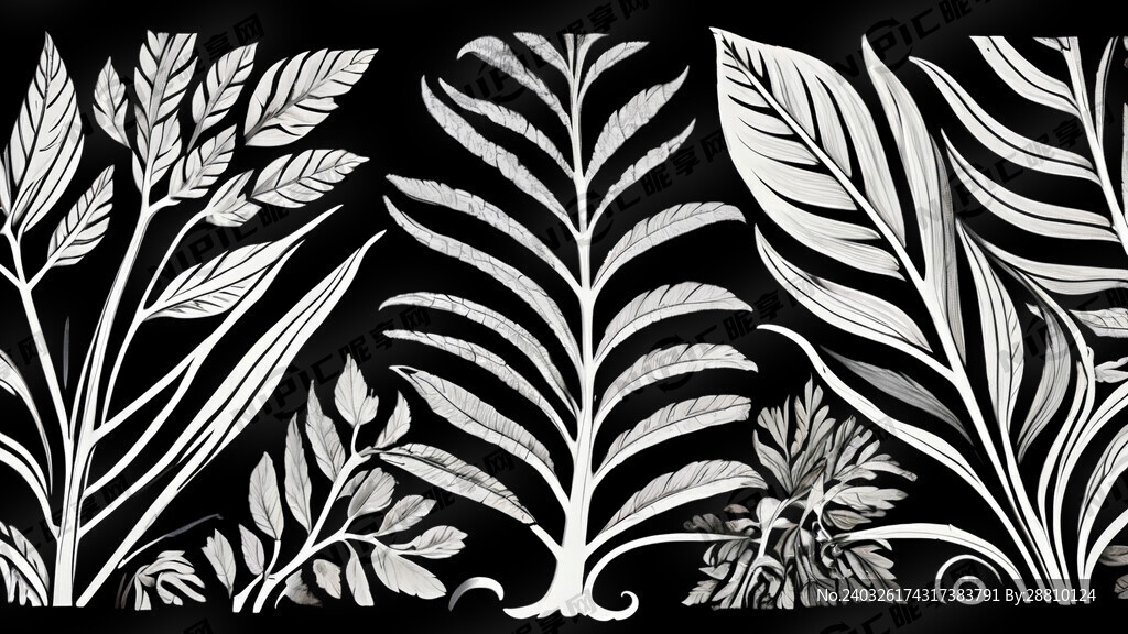 生姜叶脉 轮廓 黑白线条