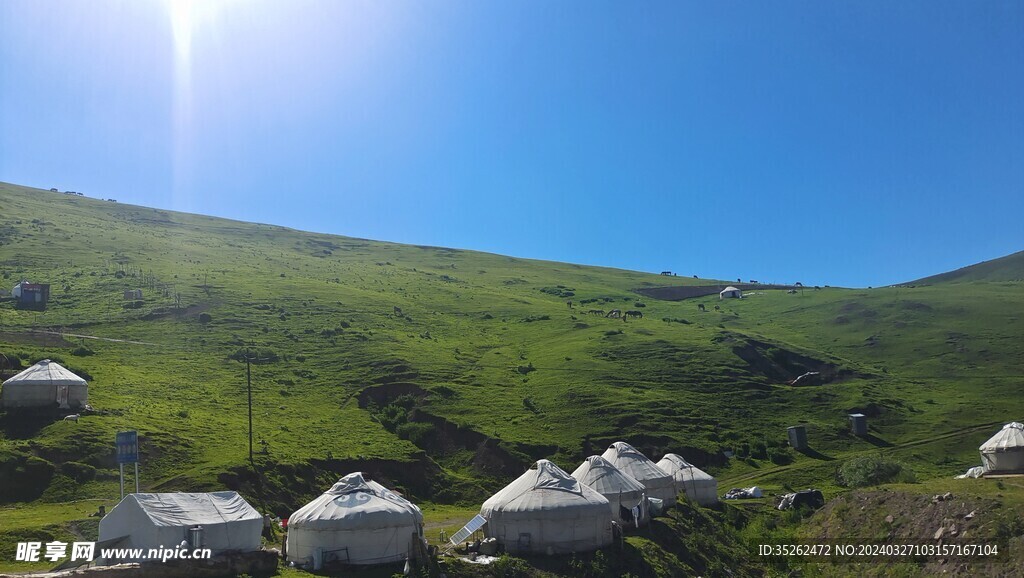 美丽的巴音郭楞