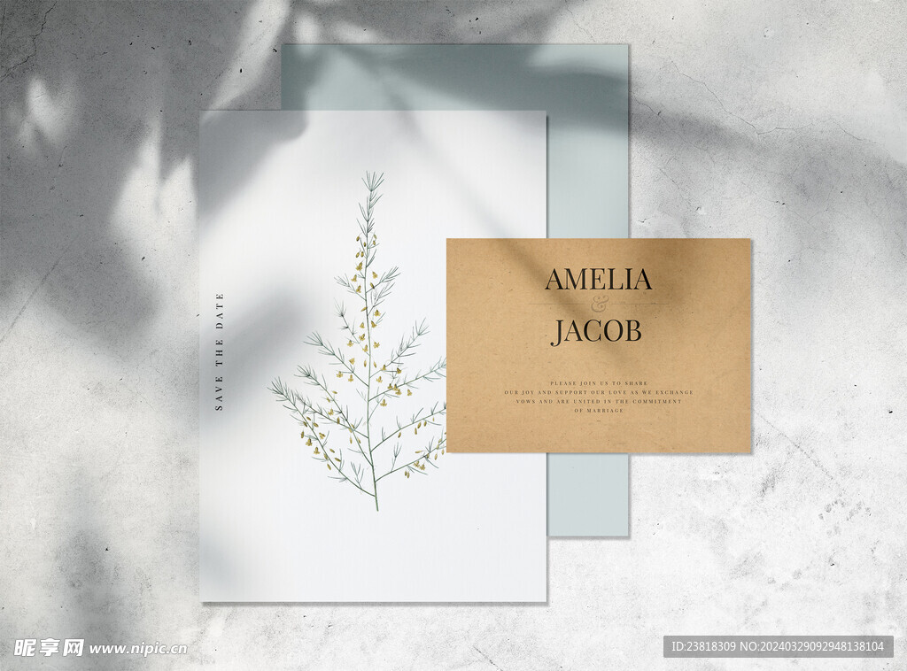 北欧风阳光植物树影光影阴影效果