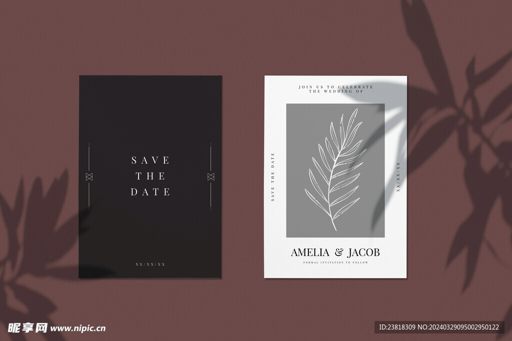 北欧风阳光植物树影光影阴影效果