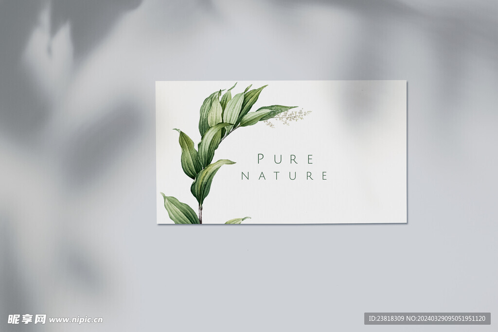 北欧风阳光植物树影光影阴影效果