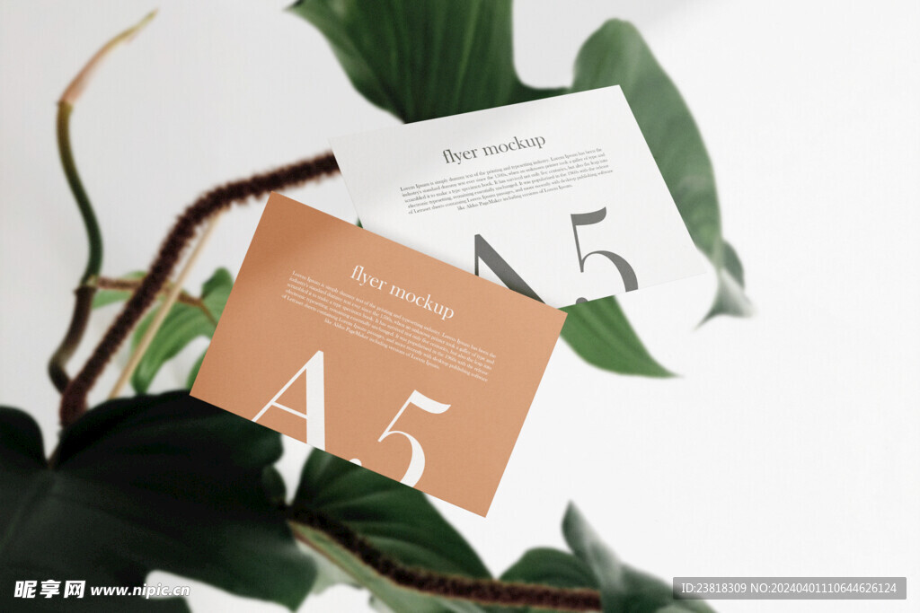 卡片名片海报纸袋文创贴图样机