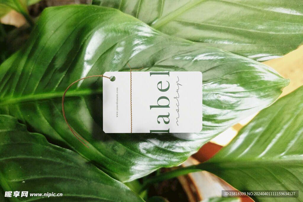 卡片名片海报纸袋文创贴图样机