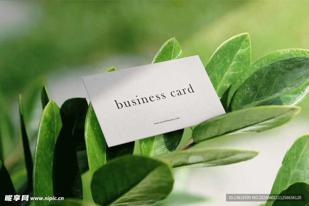 卡片名片海报纸袋文创贴图样机