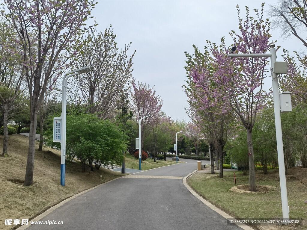 郑州园博园春天花红柳绿